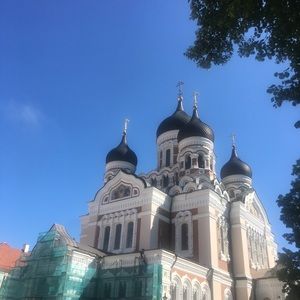 Meet your Posher, Emma